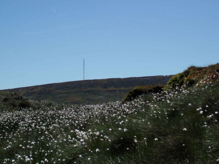 Holme Moss Transmitter Holme Moss Transmitter